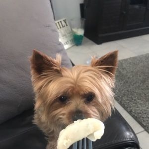 Meet your Posher, Jacky